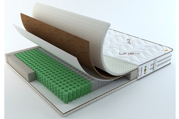 Feder 256 L+/+L